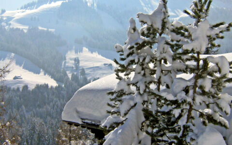 Chalet le Chamois: Schnee, Winter, Baum, Bergforms, Berg, Einfrieren, Pflanze, Gehölz, Massiv, Pine Familie
