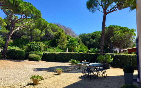 Le Mas D'Esquières 7: Pflanze, Himmel, Baum, Natürliche Landschaft, Schatten, Botanik, Grundstueck, Gartenmöbel, Strassenbelag, Gras