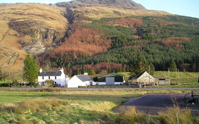 Fort William 100