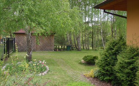 Borowikowa: Grün, Baum, Gras, Eigentum, Haus, Naturschutzgebiet, Grundstueck, Garten, Biome, Graspflanze