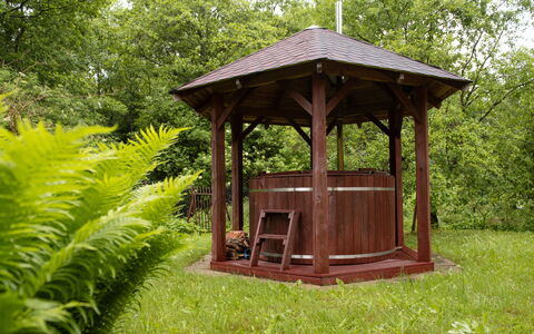 Borowikowa: Gazebo, Holz, Pavillon, Garten, Gartenbauten, Pflanzengemeinschaft, Outdoor Struktur, Ground, Schatten, Holzbeize