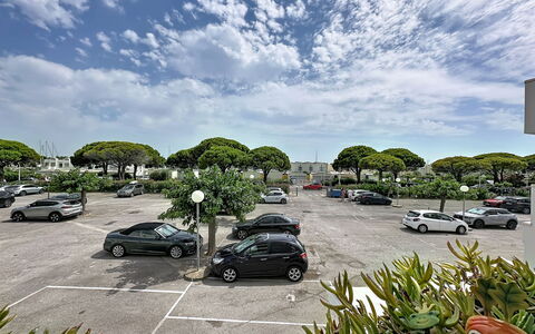 Port Camargue 530: Strauch, Garten, Wohngebiet, Pflanzengemeinschaft, Grundstueck, Ground, Landscaping, Hinterhof, Garten