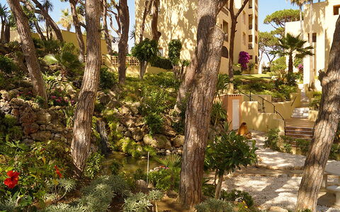 Dona Lola: Baum, Vegetation, Botanik, Pflanze, Gehölz, Biome, Pflanzengemeinschaft, Die Architektur, Palme, Kofferraum