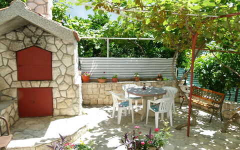 Tija: Hinterhof, Eigentum, Terrasse, Garten, Haus, Gebäude, Hof, Zimmer, Garten, Interior Design