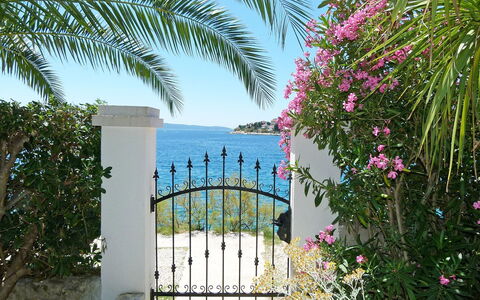 Tija: Vegetation, Eigentum, Baum, Rosa, Bougainvillea, Pflanze, Urlaub, Botanik, Blume, Haus