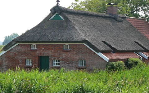 Norddeich 651: Dach, Hütte, Haus, Eigentum, Dachdecken, Zuhause, Bauernhaus, Gebäude, Ländliches Gebiet, Gras