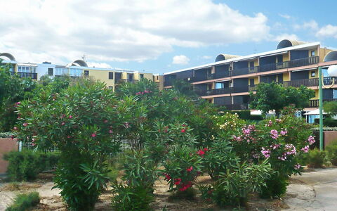 Gruissan Plage: Eigentum, Wohngebiet, Pflanze, Baum, Blume, Himmel, Nachbarschaft, Stadtgebiet, Botanik, Grundeigentum