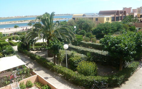 Gruissan Plage: Pflanze, Himmel, Wolke, Eigentum, Gebäude, Wasser, Vegetation, Grundstueck, Urban Design, Arecales