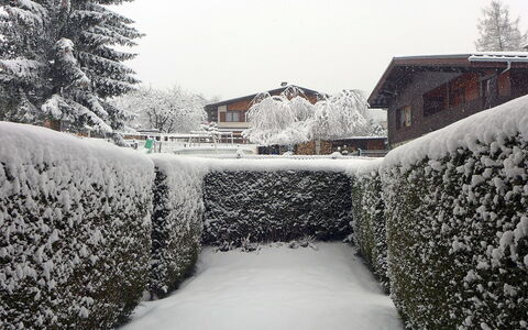 Les Chamois: Schnee, Winter, Einfrieren, Baum, Frost, Himmel, Zuhause, Strauch, Schwarz Und Weiss, Haus