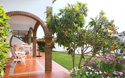Villa Cielo: Pflanze, Blume, Gebäude, Grün, Blumentopf, Zimmerpflanze, Stuhl, Gartenmöbel, Haus, Freizeit