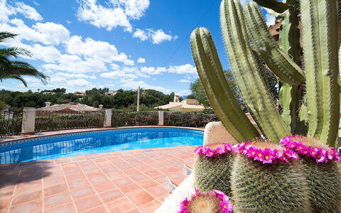 Luz Y Paz: Kaktus, Eigentum, Majorelle Blue, Schwimmbad, Himmel, Blume, Botanik, Pflanze, Grundeigentum, Resort