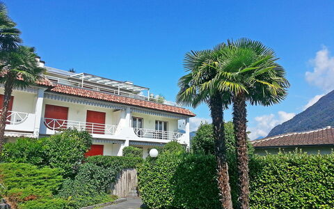 Collina Verde B: Eigentum, Baum, Haus, Vegetation, Grundeigentum, Zuhause, Gebäude, Palme, Estate, Urlaub