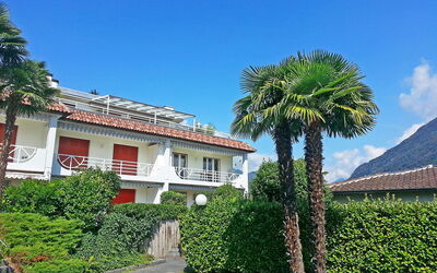 Collina Verde B