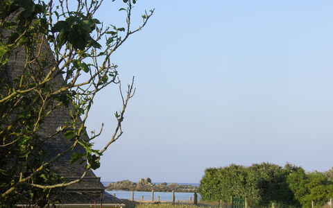 Sables Blancs: Baum, Vegetation, Himmel, Ast, Wasser, Wasserweg, Gehölz, Blatt, Pflanze, Fluss