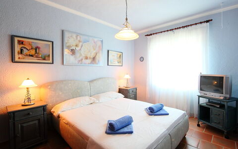 Sara: Schlafzimmer, Zimmer, Möbel, Eigentum, Bett, Bettdecke, Interior Design, Gebäude, Bettrahmen, Matratze