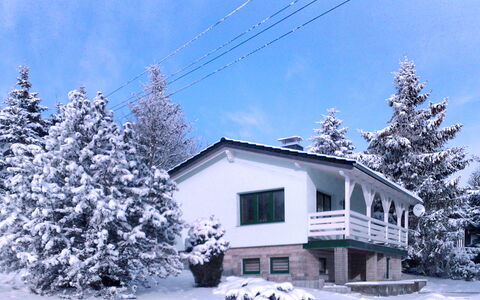 Edelmann: Himmel, Wolke, Pflanze, Schnee, Fenster, Haus, Ast, Baum, Gebäude, Zweig