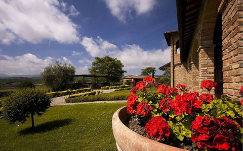 Sanguineto: Blume, Wolke, Pflanze, Himmel, Eigentum, Gebäude, Fenster, Botanik, Blatt, Vegetation