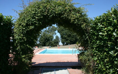 Fattoria le Chianacce: Bogen, Eigentum, Die Architektur, Baum, Himmel, Botanik, Strauch, Garten, Pflanze, Grundeigentum