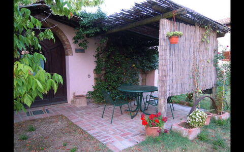 Fattoria la Gabola: Eigentum, Hinterhof, Garten, Haus, Schuppen, Gebäude, Hütte, Gartenbauten, Garten, Landscaping