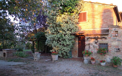 Fattoria la Gabola: Pflanze, Gebäude, Fenster, Blumentopf, Blatt, Vegetation, Strassenbelag, Haus, Biome, Baum
