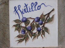 Agriturismo Flora