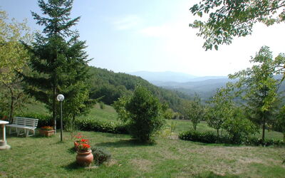 Unterkunft:&nbsp;La Falcionaia