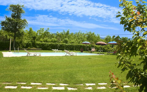 Pozzonovo: Grundstueck, Rasen, Garten, Wiese, Schwimmbad, Schatten, Gartenmöbel, Park, Landscaping, Garten