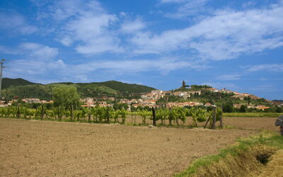 Pozzonovo