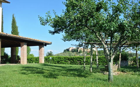 Nonno Tobia: Himmel, Pflanze, Grün, Natürliche Landschaft, Baum, Grundstueck, Gras, Vegetation, Schatten, Wiese
