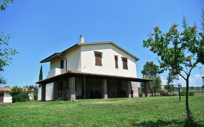Nonno Tobia - Magliano in Toscana, Toskana, Italien - Il Nido