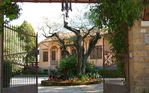 Casa Grion: Pflanze, Gebäude, Eigentum, Fenster, Blatt, Himmel, Schatten, Haus, Baum, Zaun