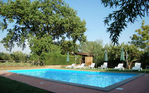 Casa Grion: Wasser, Pflanze, Himmel, Eigentum, Grün, Azurblau, Schatten, Gras, Schwimmbad, Baum