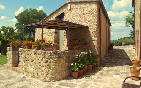 Pieve di Sant Ippolito: Pflanze, Blume, Himmel, Wolke, Eigentum, Gebäude, Blumentopf, Baum, Schatten, Holz