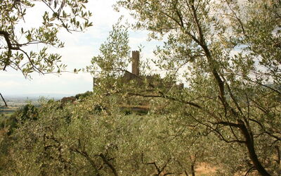 La Torre