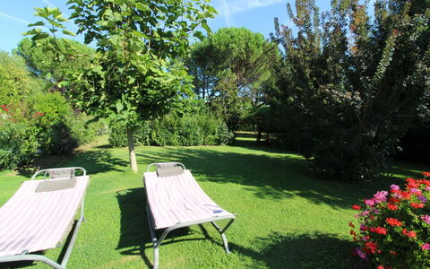Pagliazzone: Pflanze, Himmel, Pflanzengemeinschaft, Blume, Wolke, Natürliche Landschaft, Botanik, Baum, Schatten, Gartenmöbel
