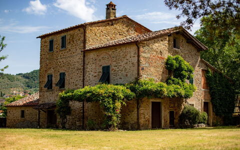 Olivo: Pflanze, Gebäude, Himmel, Wolke, Fenster, Baum, Haus, Grundstueck, Tür, Hütte