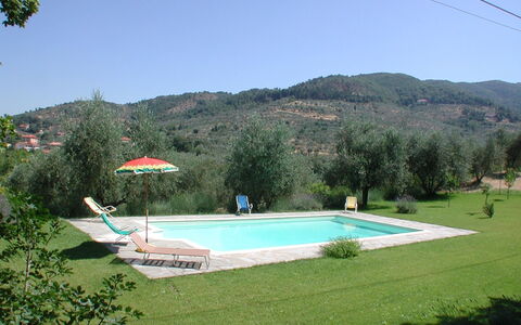 Olivo: Himmel, Wasser, Eigentum, Pflanze, Schwimmbad, Botanik, Baum, Gebäude, Grundstueck, Rechteck