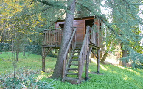 Olivo: Pflanze, Baum, Holz, Natürliche Landschaft, Kofferraum, Biome, Gras, Gebäude, Leiter, Ländliches Gebiet