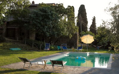 Olivo - Arezzo, Toskana, Italien