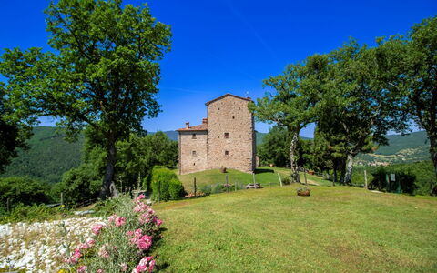 Torre di Vignale: Baum, Landschaft, Grundstueck, Ländliches Gebiet, Park