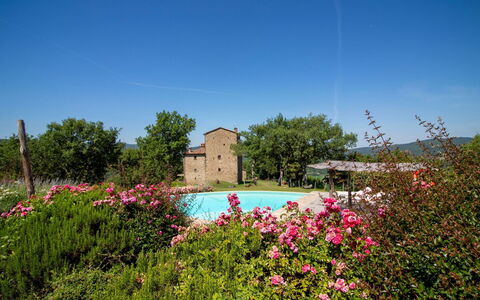 Torre di Vignale: Baum, Landschaft, Grundstueck, Ländliches Gebiet, Park