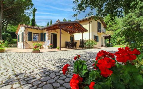 Villino Alba: Haus, Zuhause, Hütte, Tür, Garten, Auffahrt, Schatten, Estate, Garten, Hinterhof