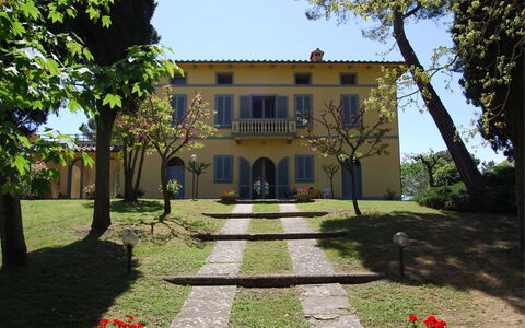 Poggio Falcone: Pflanze, Himmel, Gebäude, Eigentum, Fenster, Botanik, Baum, Haus, Gras, Grundstueck