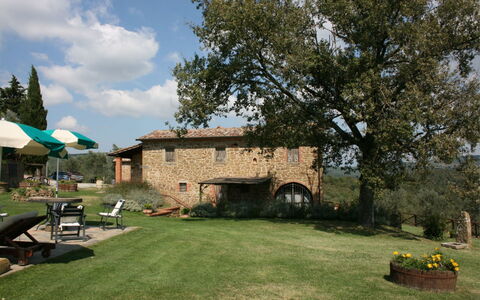 Podere della Crocchia: Pflanze, Wolke, Himmel, Gebäude, Baum, Fenster, Grundstueck, Schatten, Gras, Hütte