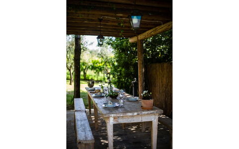 Villa degli Olivi: Pflanze, Tabelle, Gebäude, Holz, Schatten, Baum, Tisch Im Freien, Gartenmöbel, Strahl, Veranda