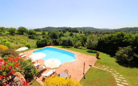 Villa Verniana: Pflanze, Blume, Wasser, Himmel, Pflanzengemeinschaft, Baum, Natürliche Landschaft, Natürlichen Umgebung, Schwimmbad, Freizeit