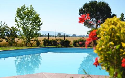 Villa Cantagallo: Wasser, Pflanze, Himmel, Schwimmbad, Blume, Azurblau, Natur, Baum, Gras, Natürliche Landschaft