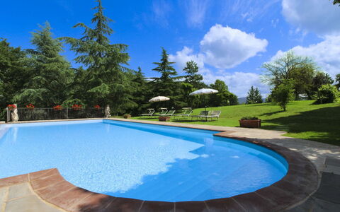 Villa Cecilia: Haus, Zuhause, Estate, Hütte, Rasen, Garten, Landscaping, Bauernhaus, Hazienda, Garten