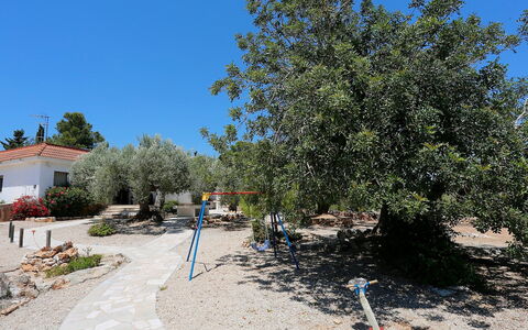 El Rinconcito: Baum, Eigentum, Grundeigentum, Pflanze, Gehölz, Landschaft, Haus, Nachbarschaft, Grundstueck, Strasse