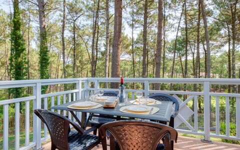 Domaine Golf Resort: Tabelle, Eigentum, Möbel, Pflanze, Holz, Baum, Interior Design, Himmel, Gartenmöbel, Stuhl